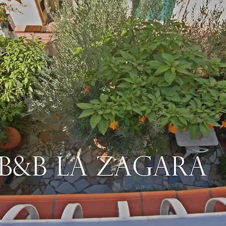 La Zagara *